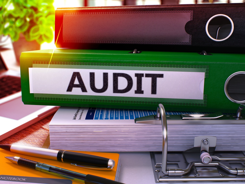 Making Sense of Performance Reporting and Relating it to Internal Audits